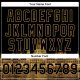 Custom Black Old Gold Parliament Building Budapest Hungary City Edition 3D Bomber Full-Snap Varsity Letterman Jacket